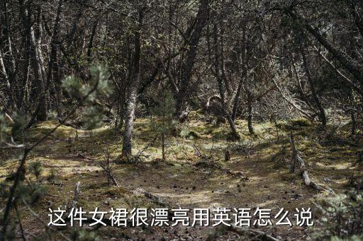 买到好看的裙子了吗英文,一件好看的裙子用英文怎么写