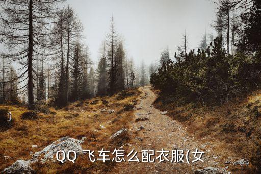QQ 飞车怎么配衣服(女
