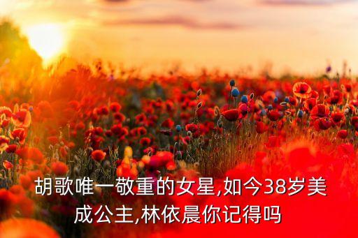胡歌穿什么裙子好看,苹果身材穿什么裙子好看