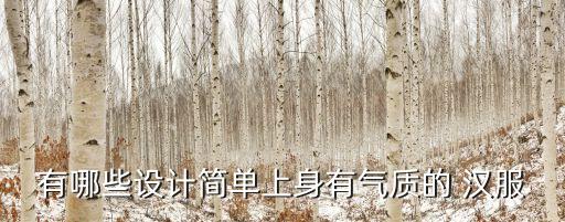有哪些设计简单上身有气质的 汉服