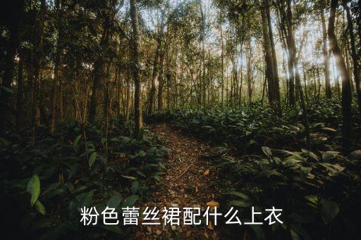  粉色蕾丝裙配什么上衣