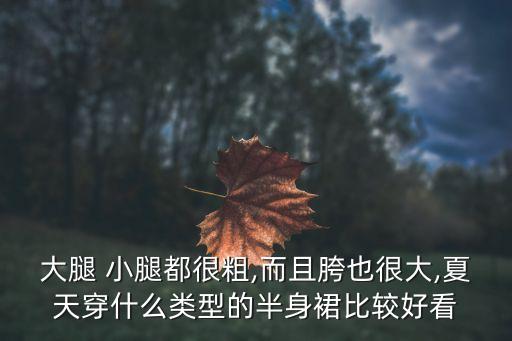 大腿 小腿都很粗,而且胯也很大,夏天穿什么类型的半身裙比较好看