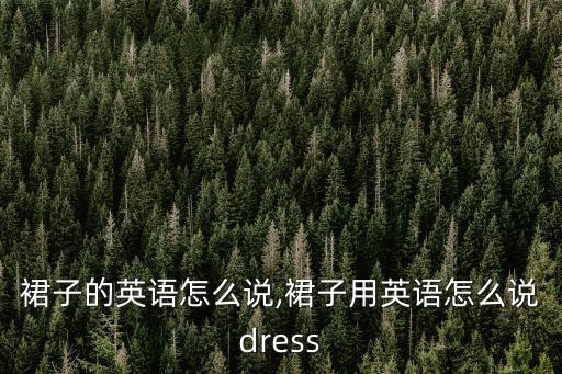一条裙子的英语怎么说,裙子用英语怎么说dress