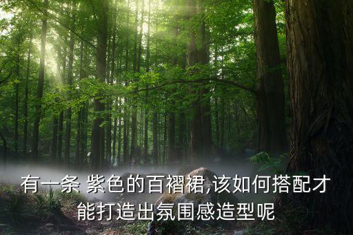 有一条 紫色的百褶裙,该如何搭配才能打造出氛围感造型呢