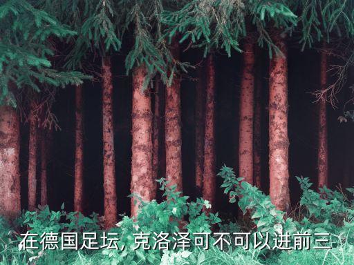 克洛泽儿子穿搭推荐裙子