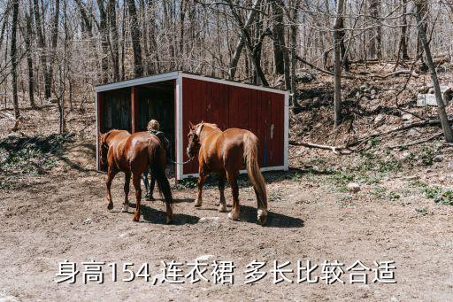 身高154,连衣裙 多长比较合适