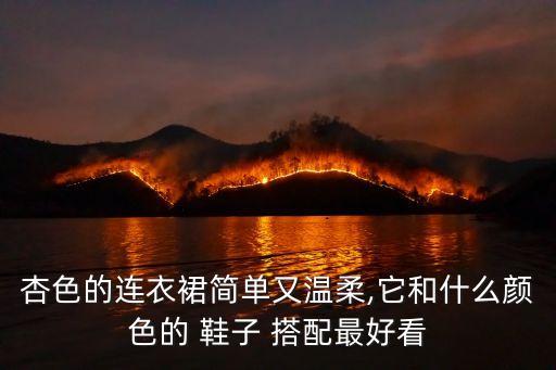 杏色的连衣裙简单又温柔,它和什么颜色的 鞋子 搭配最好看
