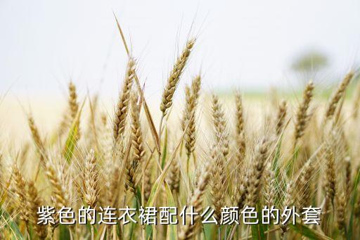 紫色的连衣裙配什么颜色的外套