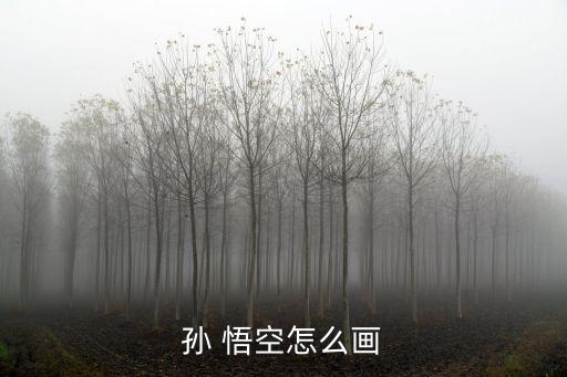 孙 悟空怎么画