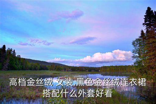 高档金丝绒 女装,黑色金丝绒连衣裙搭配什么外套好看