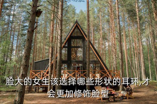 裙子耳饰圆脸好看吗女孩,圆脸适合什么款式的耳饰好看