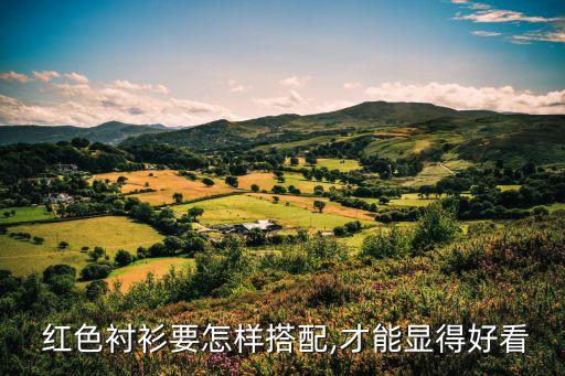 红色披肩穿搭裙子男士,红色裙子配什么颜色的披肩好看