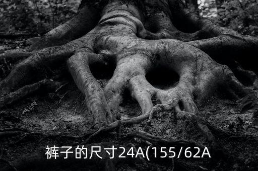 裤子的尺寸24A(155/62A