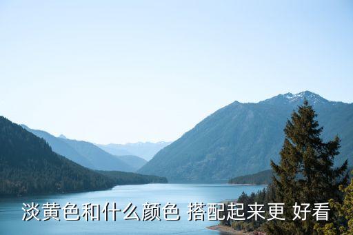 黄上衣搭配裙子好看图片欣赏,藏青色裙子搭配什么颜色上衣好看