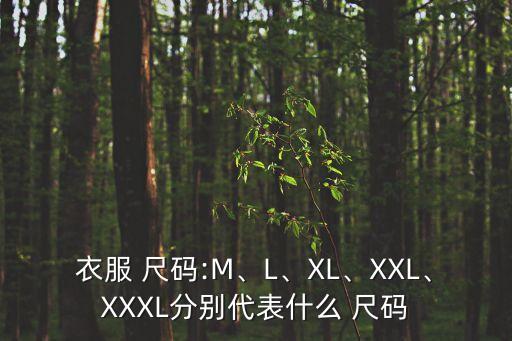女生裙子l号是多大尺码,160女生裙子穿多大的号