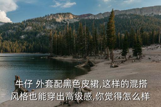  牛仔 外套配黑色皮裙,这样的混搭风格也能穿出高级感,你觉得怎么样
