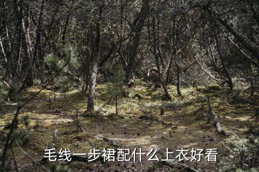  毛线一步裙配什么上衣好看