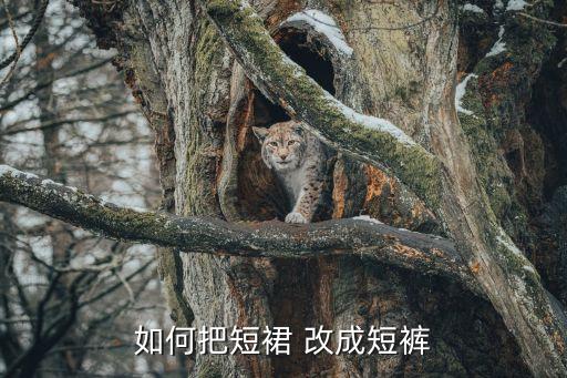 如何把短裙 改成短裤