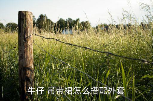 吊带裙子外面穿什么,穿吊带裙子里面穿什么内衣比较好