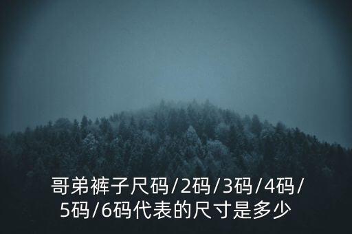  哥弟裤子尺码/2码/3码/4码/5码/6码代表的尺寸是多少