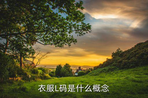 衣服L码是什么概念