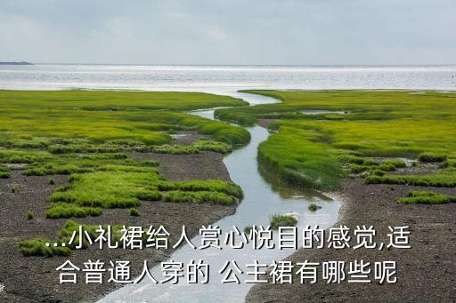 ...小礼裙给人赏心悦目的感觉,适合普通人穿的 公主裙有哪些呢