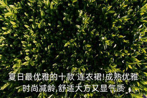 中老年连衣裙新款夏装图片男