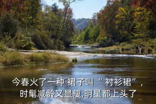 今春火了一种 裙子叫“ 衬衫裙”,时髦减龄又显瘦,明星都上头了