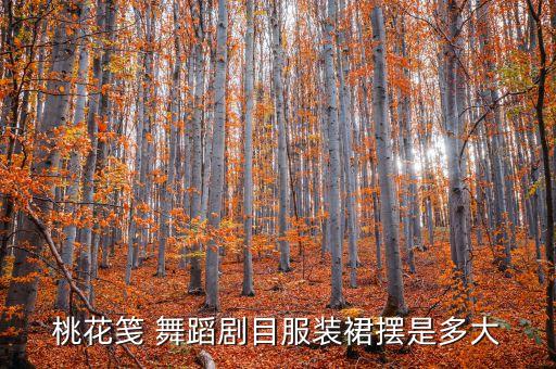 舞蹈大摆裙子