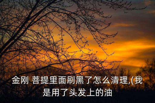 金刚 菩提里面刷黑了怎么清理,(我是用了头发上的油