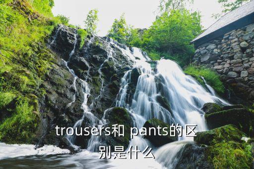 trousers和 pants的区别是什么