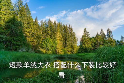 短款毛呢大衣搭配裙子,短款大衣怎么搭配好看