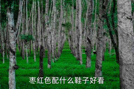 枣红色配什么鞋子好看
