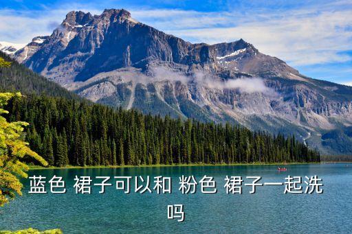 蓝色 裙子可以和 粉色 裙子一起洗吗