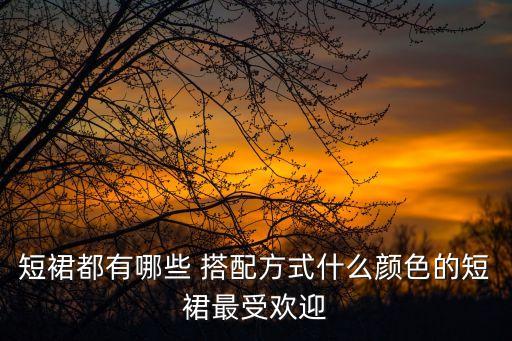 短裙都有哪些 搭配方式什么颜色的短裙最受欢迎