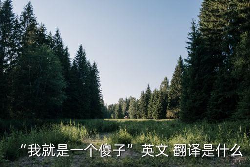 “我就是一个傻子”英文 翻译是什么
