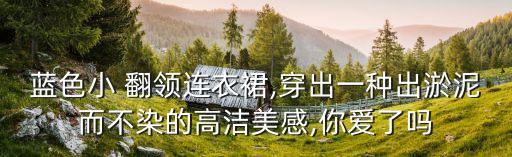 蓝色小 翻领连衣裙,穿出一种出淤泥而不染的高洁美感,你爱了吗