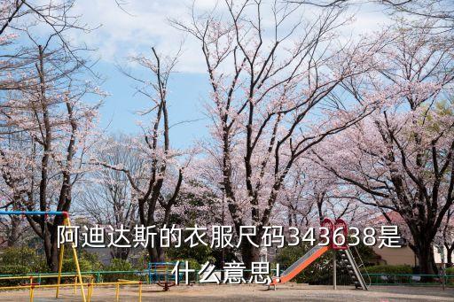  阿迪达斯的衣服尺码343638是什么意思!