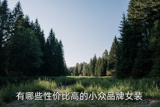 有哪些性价比高的小众品牌女装