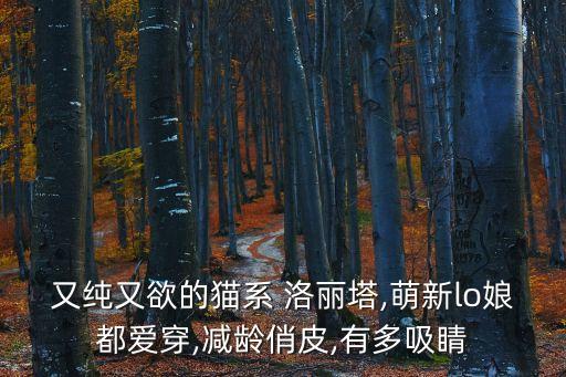 又纯又欲的猫系 洛丽塔,萌新lo娘都爱穿,减龄俏皮,有多吸睛