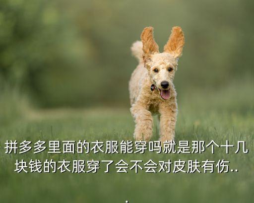 拼多多里面的衣服能穿吗就是那个十几块钱的衣服穿了会不会对皮肤有伤...