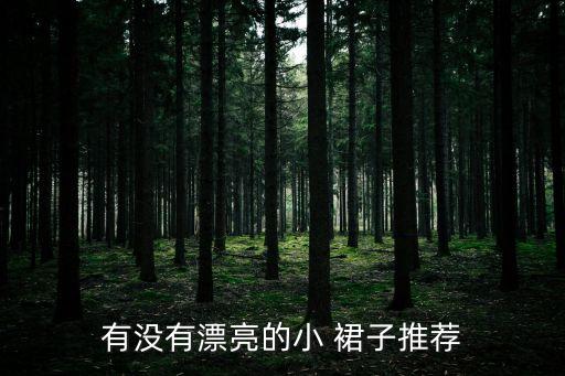 有没有漂亮的小 裙子推荐