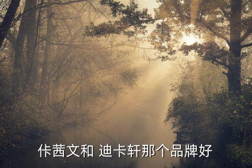 佧茜文和 迪卡轩那个品牌好