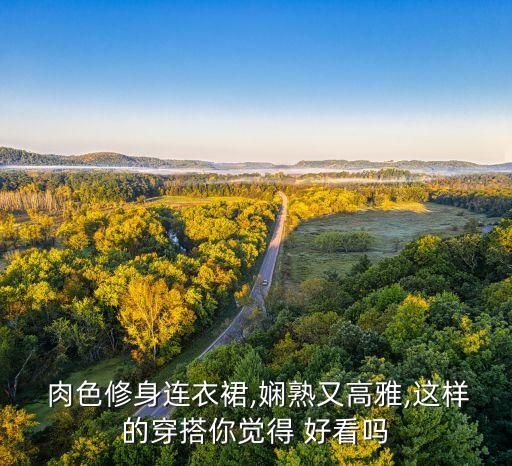  肉色修身连衣裙,娴熟又高雅,这样的穿搭你觉得 好看吗