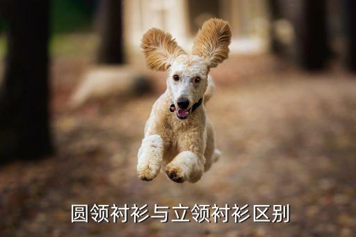 圆领和无领,圆领无领羽绒服怎么搭配