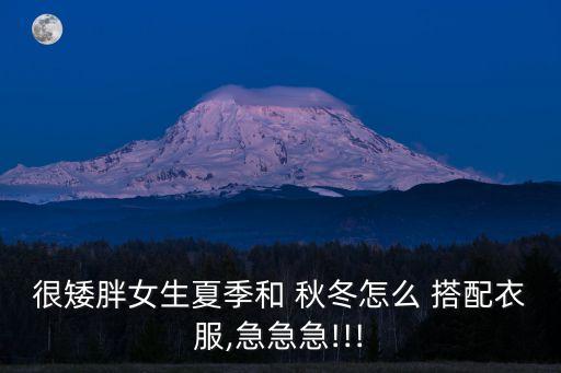 胖子搭配女秋冬裙子,胖子黑色裙子怎么搭配