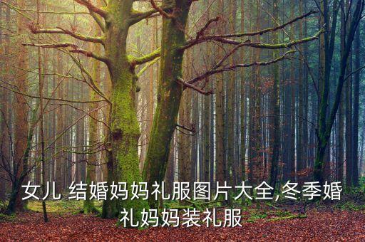 女儿 结婚妈妈礼服图片大全,冬季婚礼妈妈装礼服