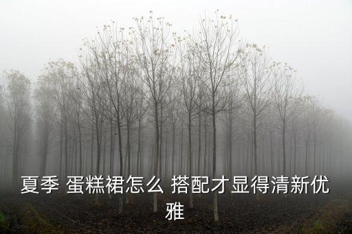 短白色蛋糕裙子搭配,白色蛋糕裙怎么搭配上衣图片