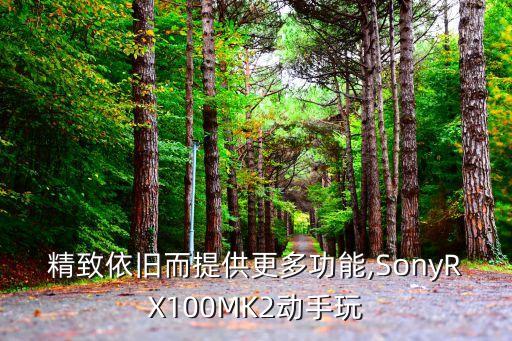 精致依旧而提供更多功能,SonyRX100MK2动手玩