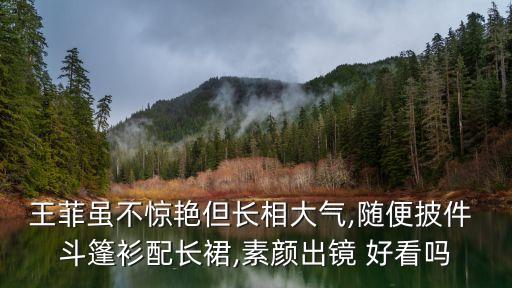 王菲虽不惊艳但长相大气,随便披件 斗篷衫配长裙,素颜出镜 好看吗